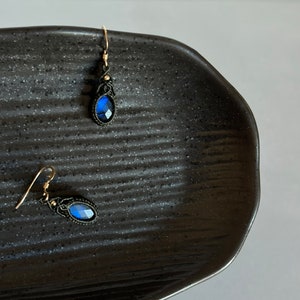 May include: A pair of earrings with blue gemstone drops and black macrame accents.