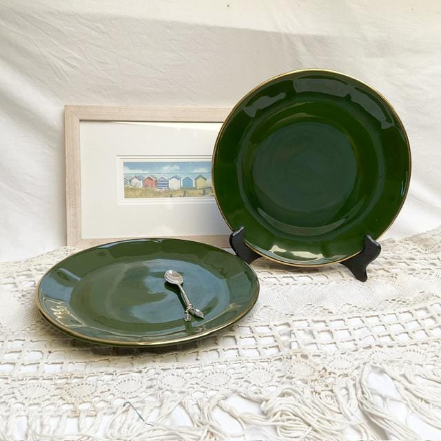 X Extra Large Authentic, APILCO, Flora, Dinner Plate, Green and - Main Image