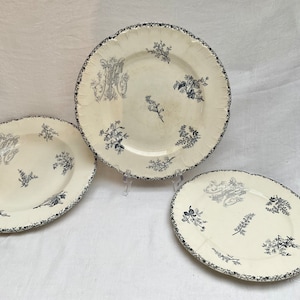 Antique, HB & Cie, French, Ironstone, Initialled, Dessert Plate, Hollow Plate, Dinner Plate, Grey TealTransferware, Terre de Fer