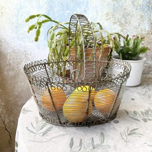 Vintage, French, Wire, Grey Metal, Oval Basket, Planter, Gathering Basket, Garden Decor