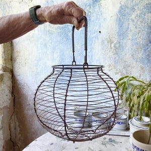 Antique, French, Wire, Fil de Fer, Egg Basket, Collapsible Handle, Kitchen Decor, Farmhouse, Rustic
