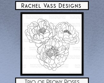 Trio of Peony Roses hand drawn digital stamp, instant download, Digi Stamp, Rachel Vass Designs, clip art, flower drawing, instant download