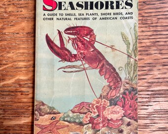 Vintage 1955 Golden Nature Guide, "Seashores"