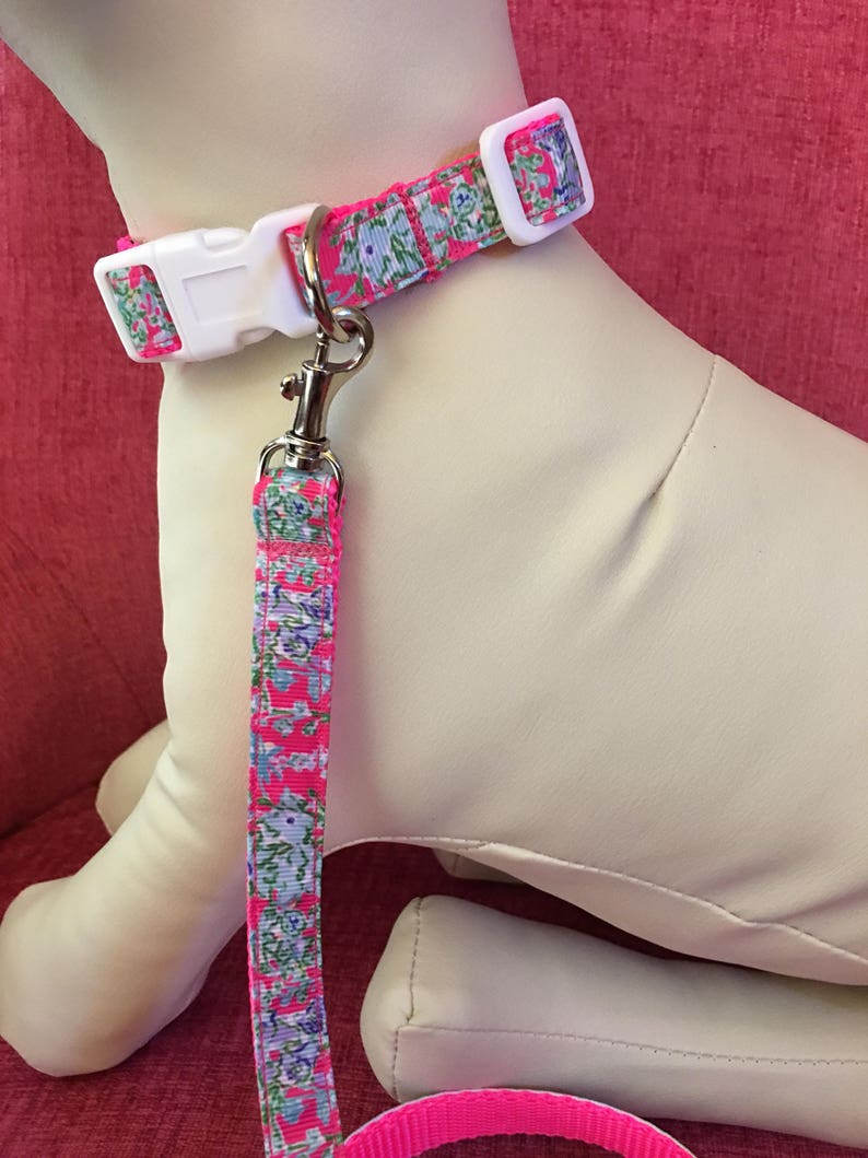 Lilly Pulitzer Dog Pet Collar and Leash Set in Southern Charm | Etsy