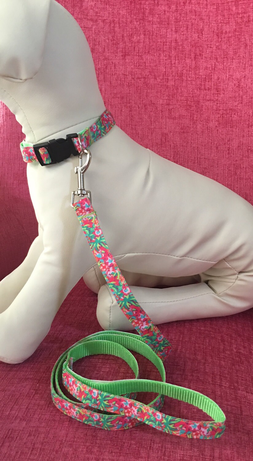 Lilly Pulitzer Dog Pet Collar and Leash Set in Lulu print Sz Etsy