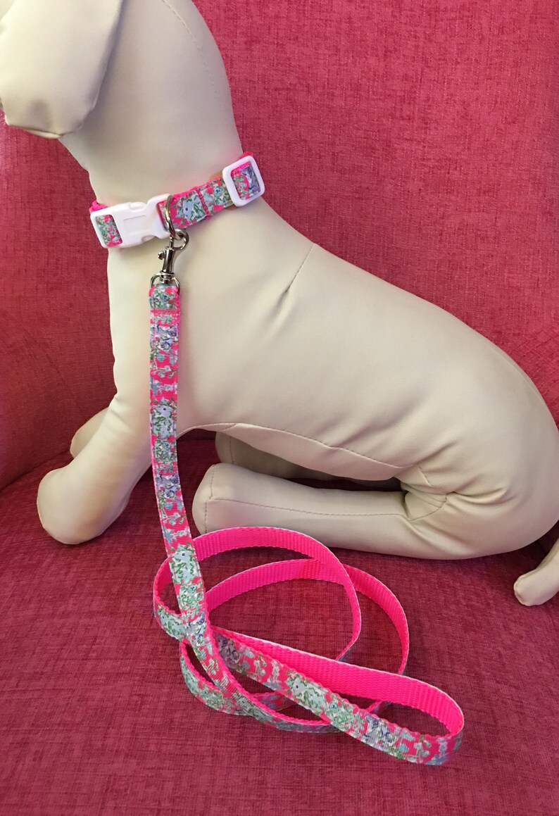 Lilly Pulitzer Dog Pet Collar and Leash Set in Southern Charm | Etsy