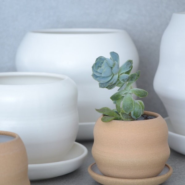 Small ceramic planter with saucer / handthrown ceramic planter