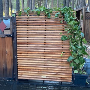 Mahogany Modern Slatted Trellis, Louver Panels, Privacy Screen, Indoor Room Divider, Ipe Brazilian Hardwood, Privacy Wall, Fence Panels