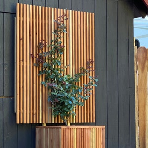 May include: A wooden slatted privacy screen with a green plant growing in front of it. The screen is attached to a dark gray wooden wall. The plant is in a wooden planter box.