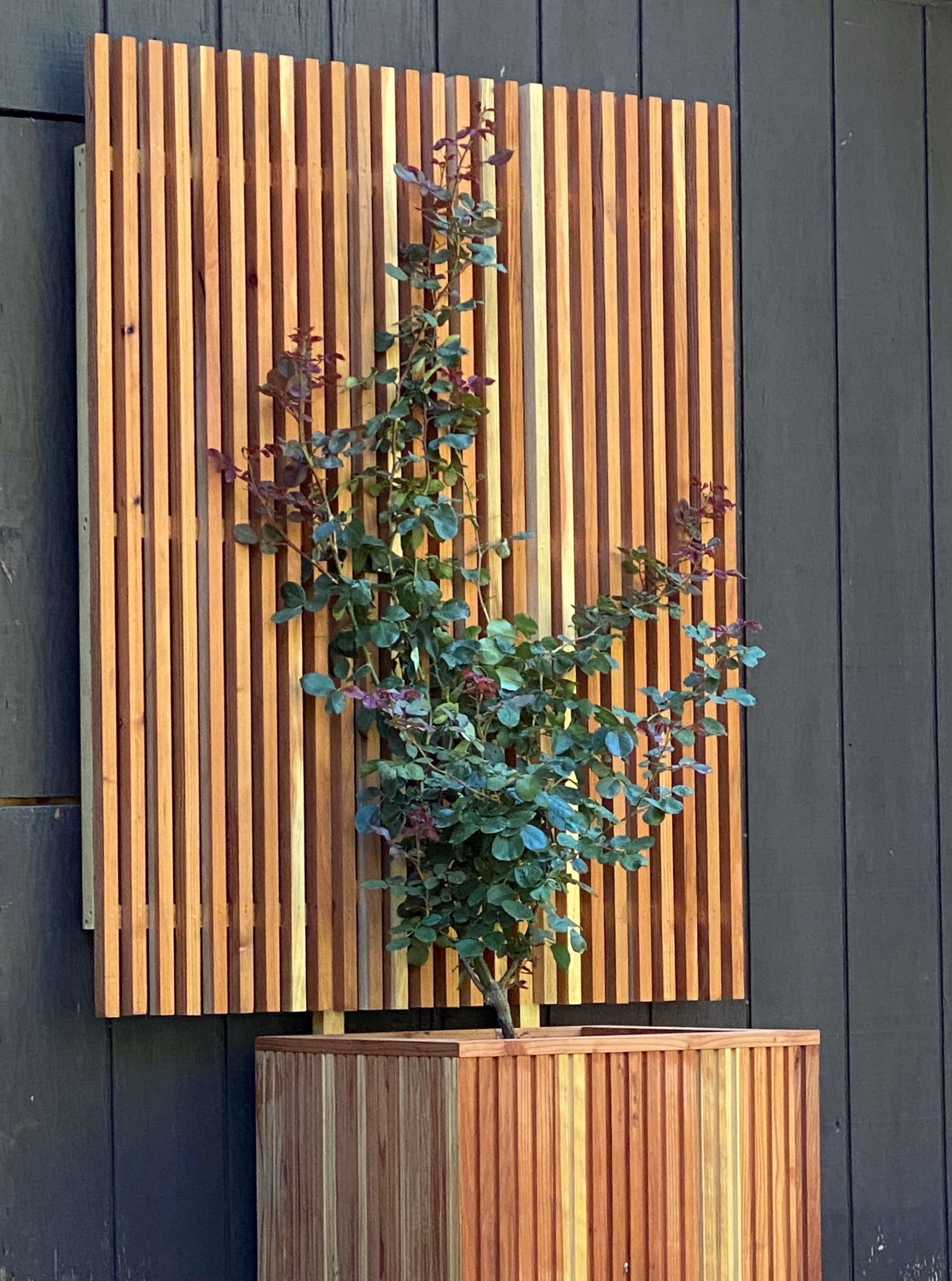 Mid-century Modern Trellis for Privacy Screen Custom Sizes, Hardwood Modern  Slatted Trellis, Screen Wall,modern Screen,privacy Screen. - Etsy