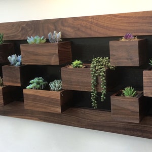 Indoor wall planter, Black Walnut, Succulent Wall Planter, Modern Garden, Indoor Garden, Outdoor Succulent, Succulent Garden, Herb Planter,