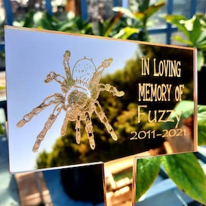 Może przedstawiać: Złota, lustrzana, akrylowa tabliczka do ogrodu z czarno-białym sylwetką ptasznika. Tekst brzmi "W kochającej pamięci Fuzzy 2011-2021".