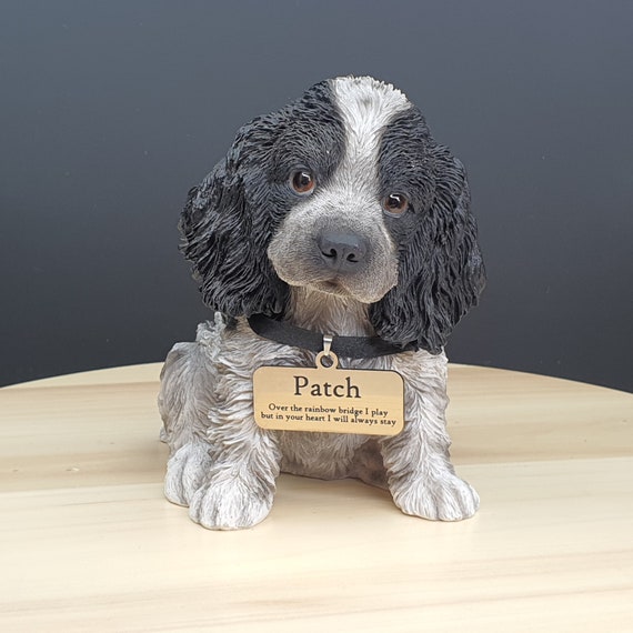 Black And White Cocker Spaniel Puppy