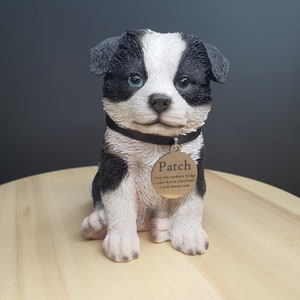 Border Collie Puppy dog with personalised memorial tag