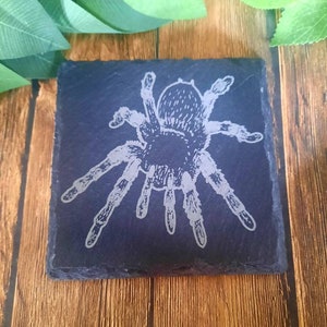 Tarantula, Spider - Engraved Slate Coaster