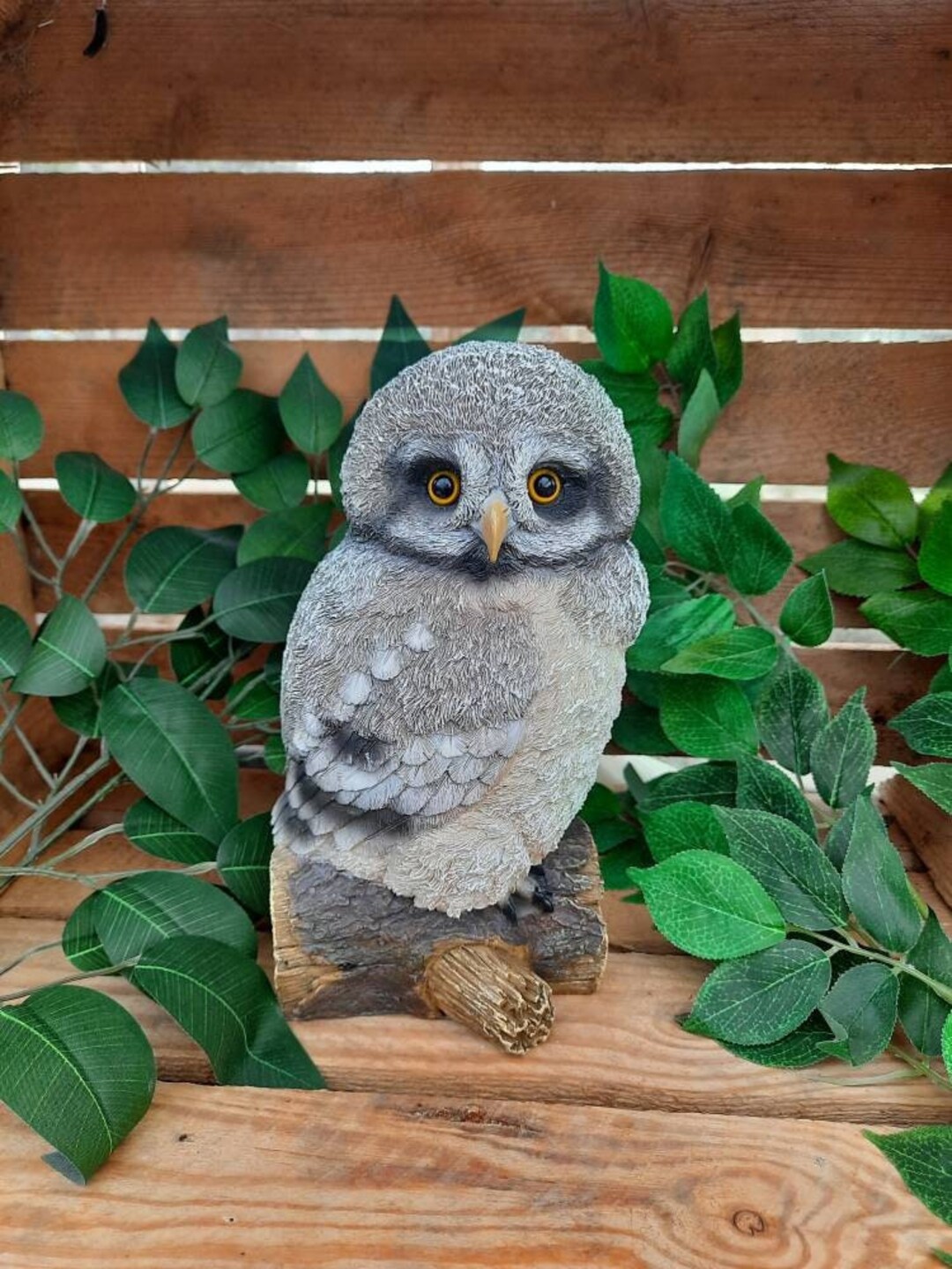 Perched Barred Owl Wild Animals Collection by Hamac Garden