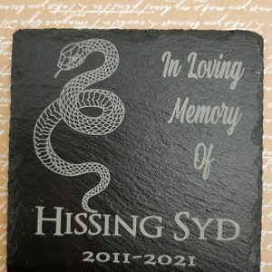 Puede incluir: Placa conmemorativa de pizarra negra con un diseño de serpiente plateada, el texto "In Loving Memory of HISSING SYD 2011-2021".