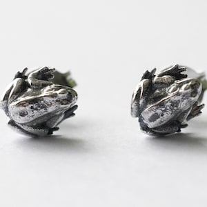 Op de afbeelding: Een paar zilverkleurige kikker oorknopjes. Elke oorbel is een gedetailleerde miniatuursculptuur van een kikker, met een getextureerde huid en zichtbare ledematen. De oorbellen staan tegen een witte achtergrond.