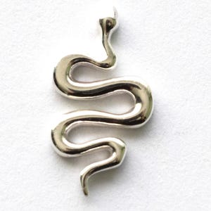 May include: A silver snake pendant with a curved, serpentine design. The pendant has a smooth, shiny surface, with a rounded head and a tapering tail. The snake is depicted in a stylized, minimalist form.