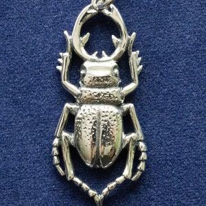 925 Sterling Silver Stag Beetle Component