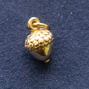 Bronze Acorn Charm