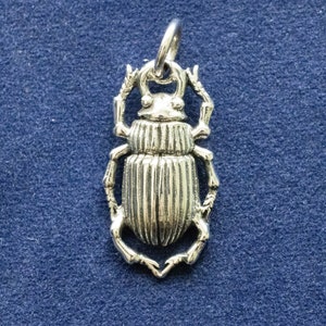 May include: Silver charm in the shape of a beetle with a detailed, textured body and raised legs. The charm has a loop at the top for attaching to a necklace or bracelet.