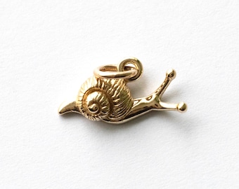Charm de caracol de bronce