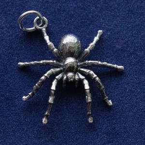 May include: A silver spider charm with a detailed design. The spider has eight legs and a round body. The charm has a loop at the top for attaching to a necklace or bracelet.