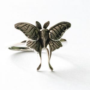 May include: A silver ring with a moth design. The moth has detailed wings and antennae. The ring band is thin and smooth. The ring is set against a white background. The moth's wings are intricately detailed.