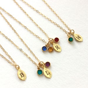 Birthstone Necklace, Initial Birthstone Necklace, Family Tree Necklace, Mom Jewelry, Personalized Necklace in Gold or Silver image 1