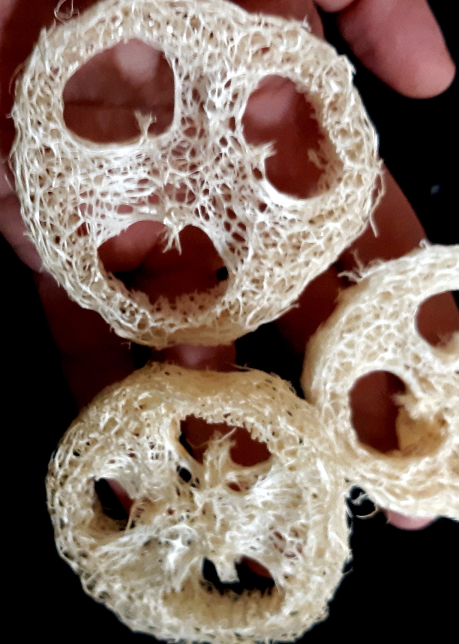 Organic Loofah Slices Etsy