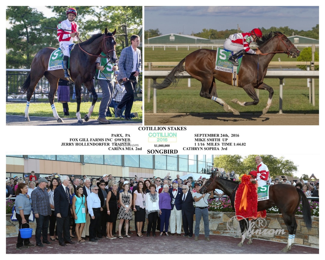 Songbird Cotillion Stakes Compsite Photo 10 X 8 Etsy