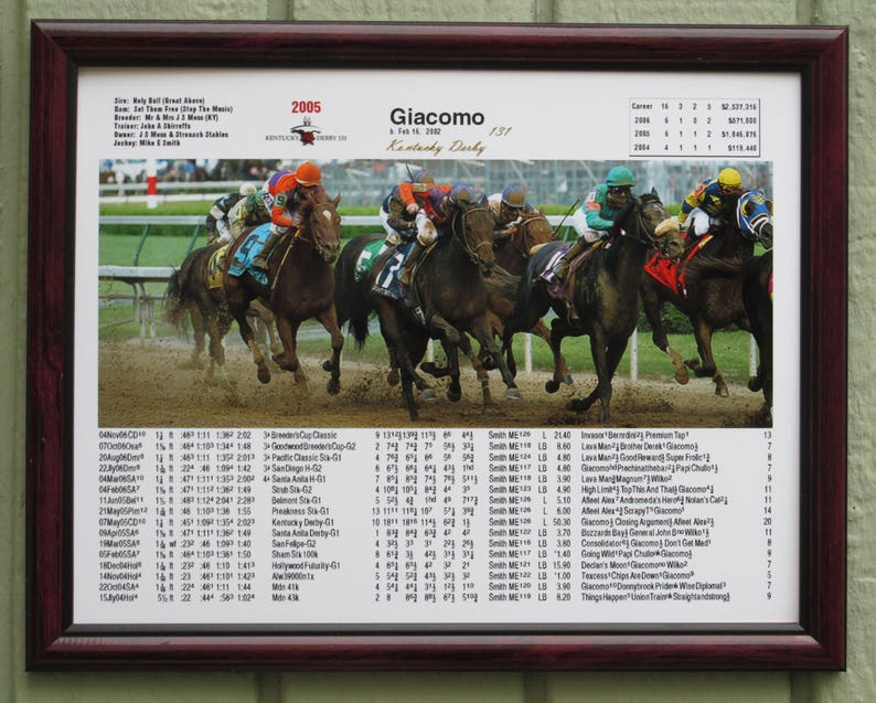 Kentucky Derby Winner 131 Lifetime Past Performances Etsy