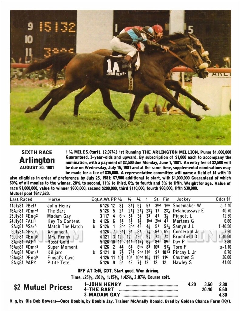 John Henry Arlington Million 1981 With Race Chart Etsy