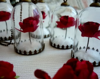 Colar de Rosas do Pequeno Príncipe: Terrário com Domo de Vidro e Corrente de Bronze
