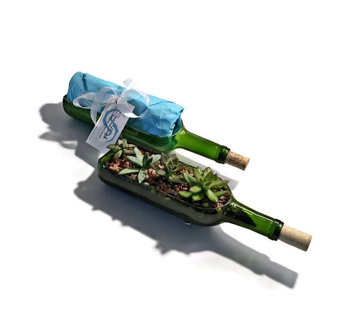 Wine Bottle Succulent Planter Kit: DIY Gift for Wine Lovers - Etsy