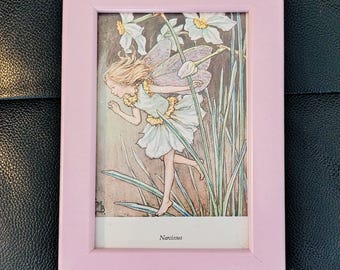 Vintage Narcissus Flower Fairy Print, Original 1970s Book Plate in Pink Frame