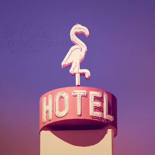 Flamingo Hotel – kitschy mid-century motel photo