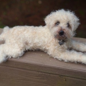 Needle Felted Wheaten Terrier Gift Statue, Custom Dog Portrait Sculpture Art, Pet Loss Gift, Miniature Animal, Pet Memorial Stocking Stuffer image 3