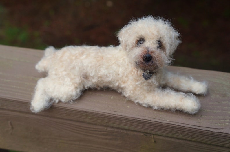 Needle Felted Wheaten Terrier Gift Statue, Custom Dog Portrait Sculpture Art, Pet Loss Gift, Miniature Animal, Pet Memorial Stocking Stuffer image 3