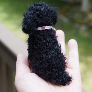 May include: A small black poodle toy with curly fur, wearing a white collar with a maroon buckle.