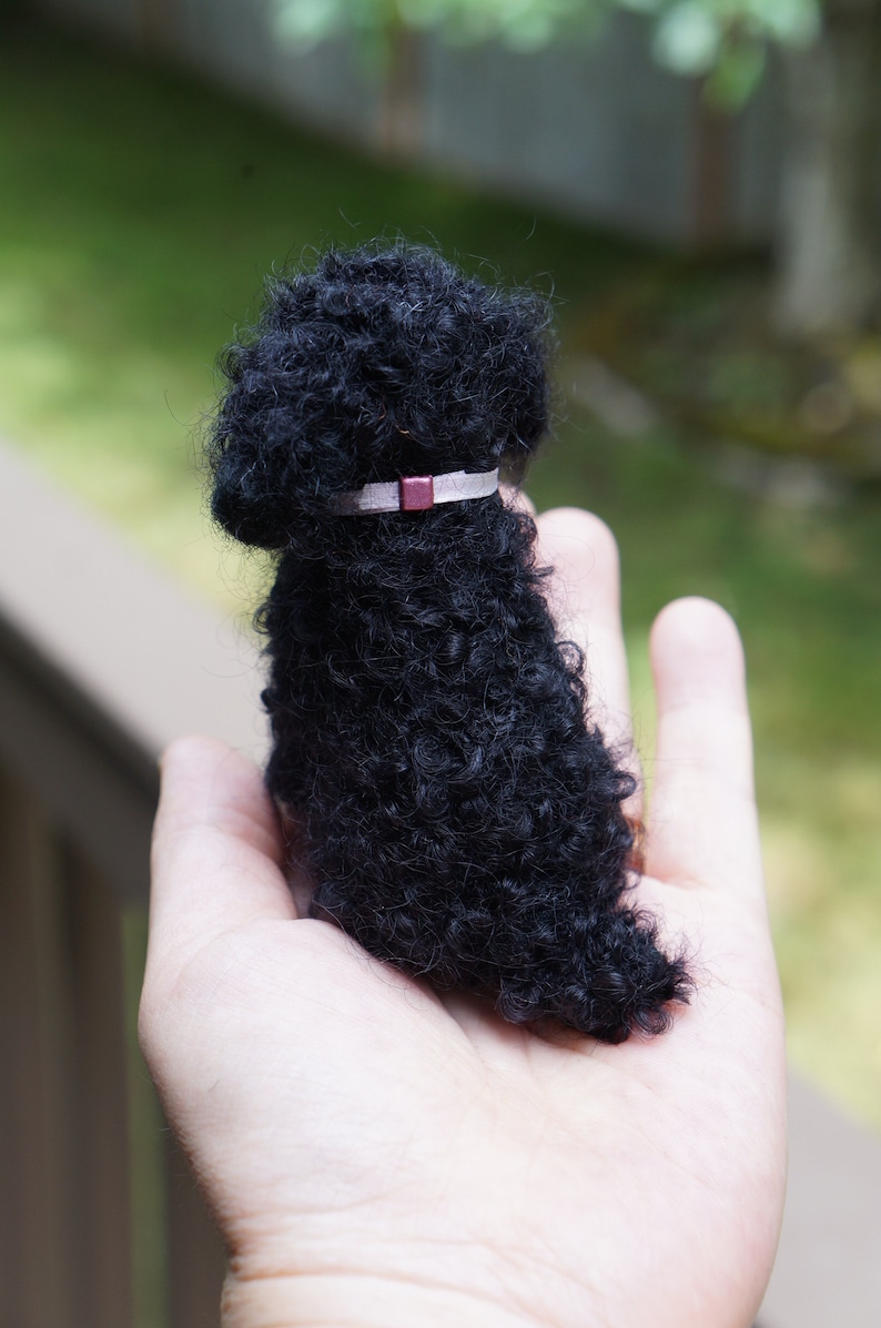 May include: A small black poodle toy with curly fur, wearing a white collar with a maroon buckle.
