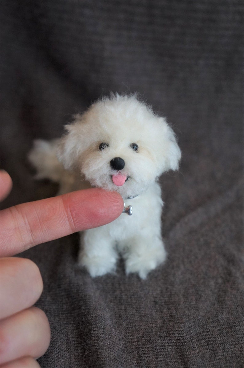 Needle Felted Maltese Dog Wool Maltipoo Bichon Puppy Felt Etsy