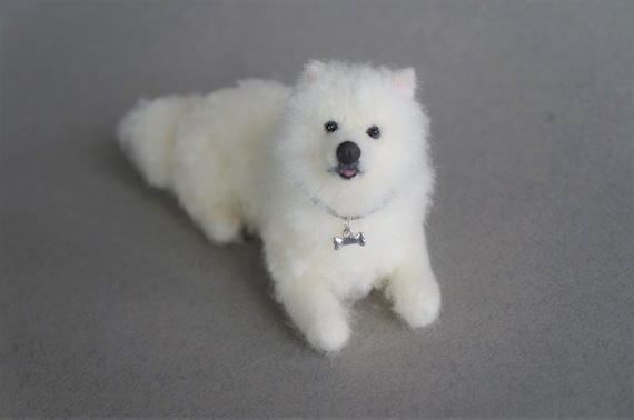 Miniature samoyed best sale dog
