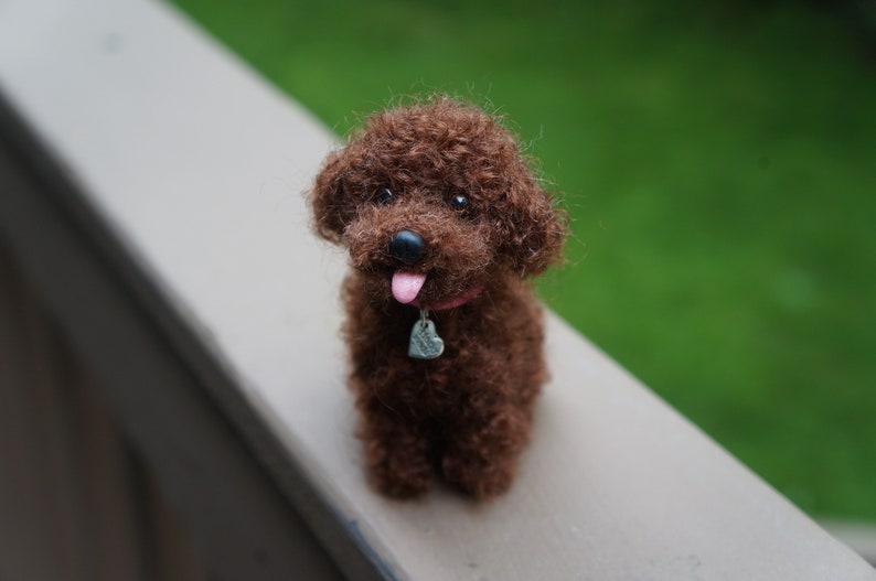 May include: A brown poodle with curly fur is sitting on a light brown surface. The poodle has a pink tongue sticking out and is wearing a pink collar with a silver heart-shaped tag.