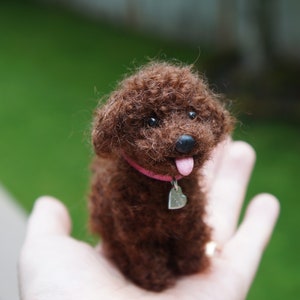 May include: A brown, curly-haired toy poodle with a pink collar and a silver heart-shaped tag. The toy is being held in a person's hand.