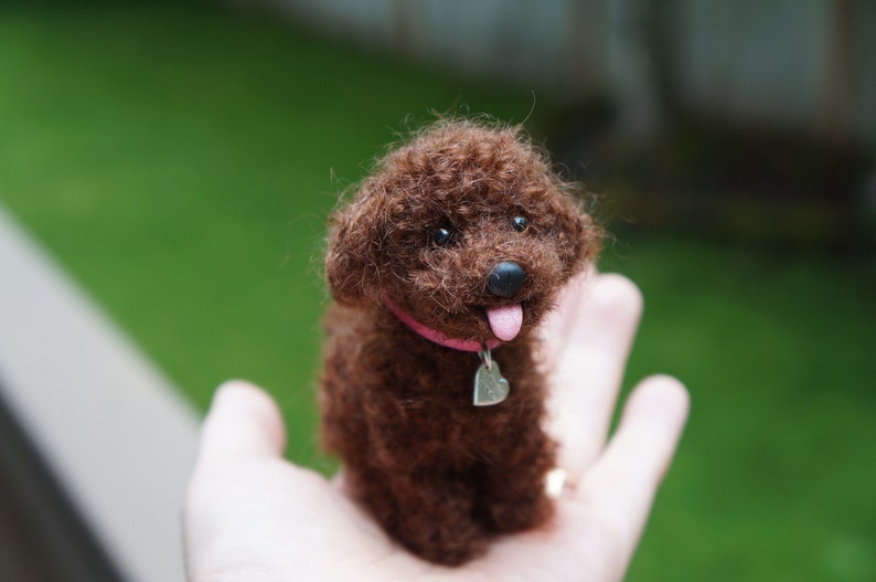 May include: A brown, curly-haired toy poodle with a pink collar and a silver heart-shaped tag. The toy is being held in a person's hand.