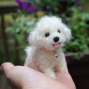 May include: A small white fluffy dog with a pink collar and a silver heart charm. The dog is sitting on a person's hand.