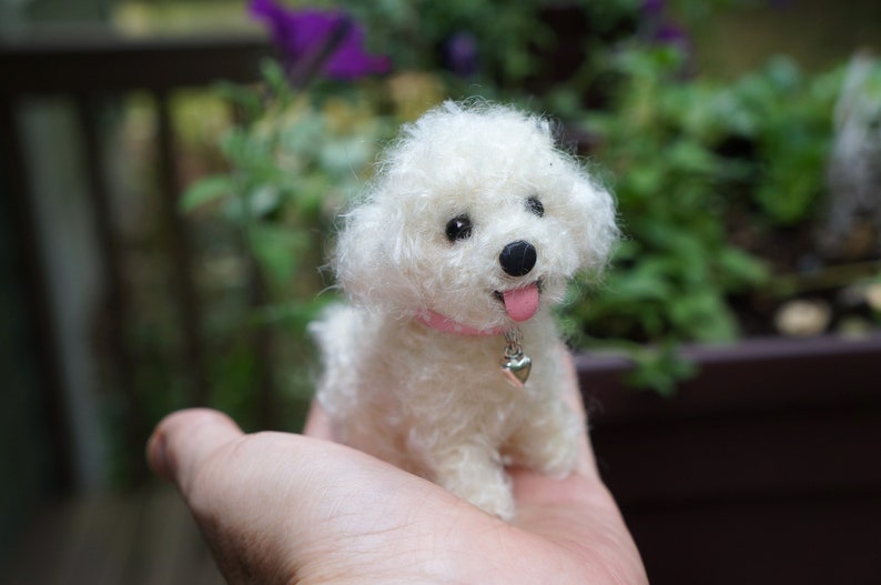 May include: A small white fluffy dog with a pink collar and a silver heart charm. The dog is sitting on a person's hand.