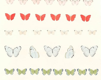 Butterfly pattern bright colors